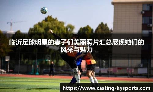 临沂足球明星的妻子们美丽照片汇总展现她们的风采与魅力